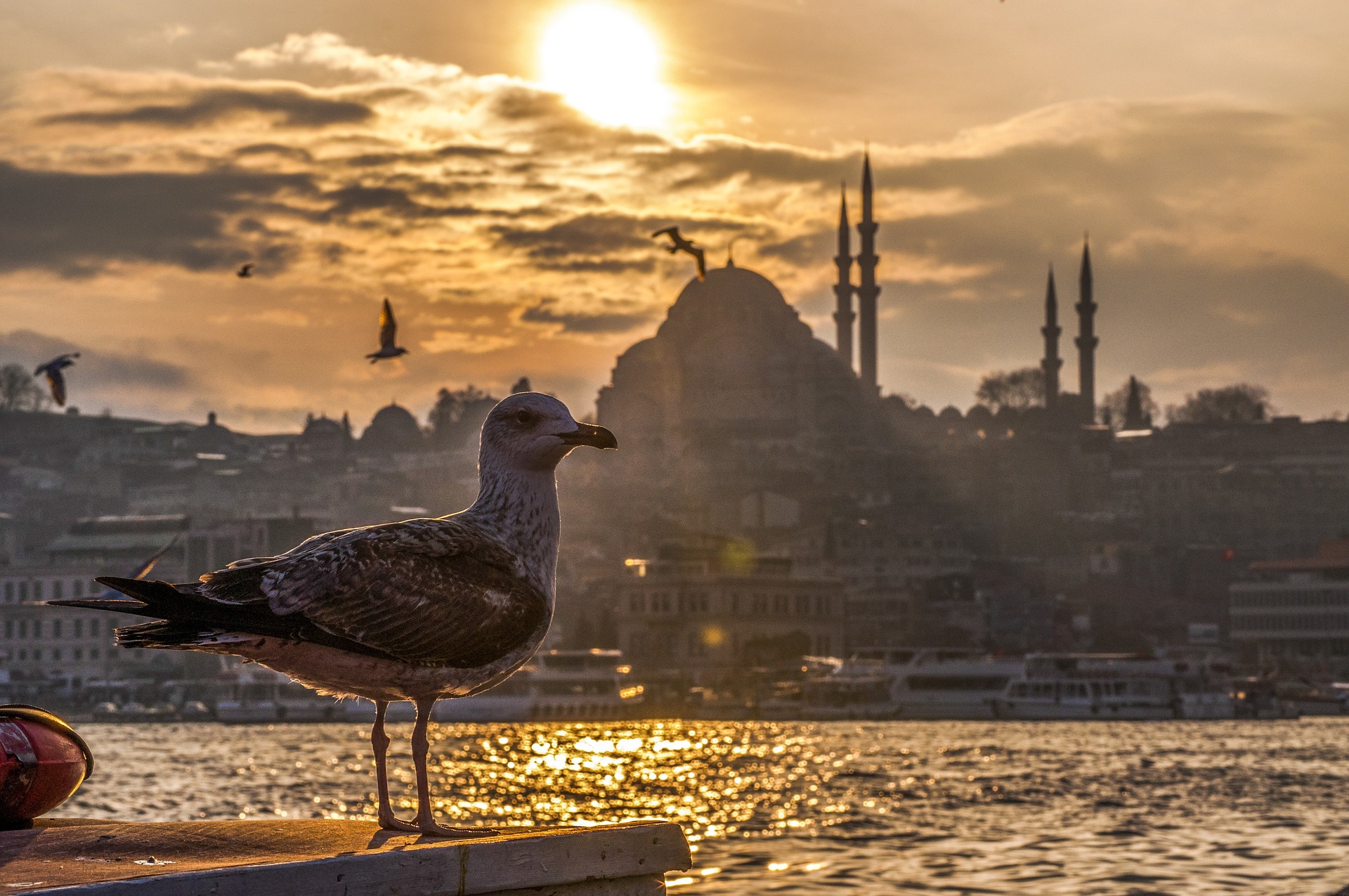 Thumbnail for Top 10 Istanbul Old Town Tips – Istanbul Travel Advice